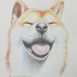 課程圖片